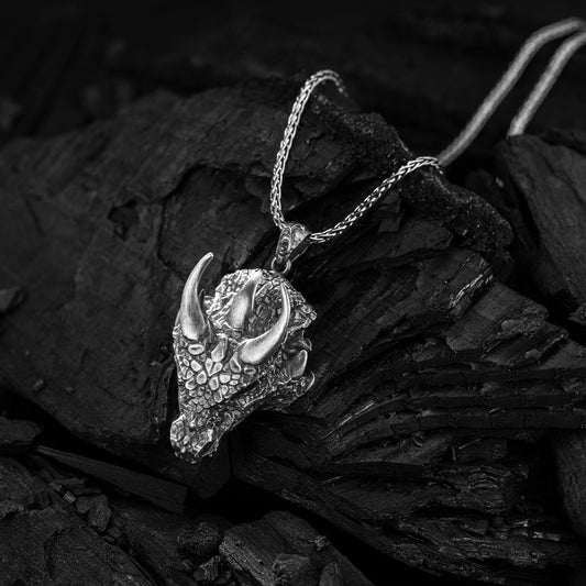 925 Ayar Gümüş Ejderha Erkek Kolye